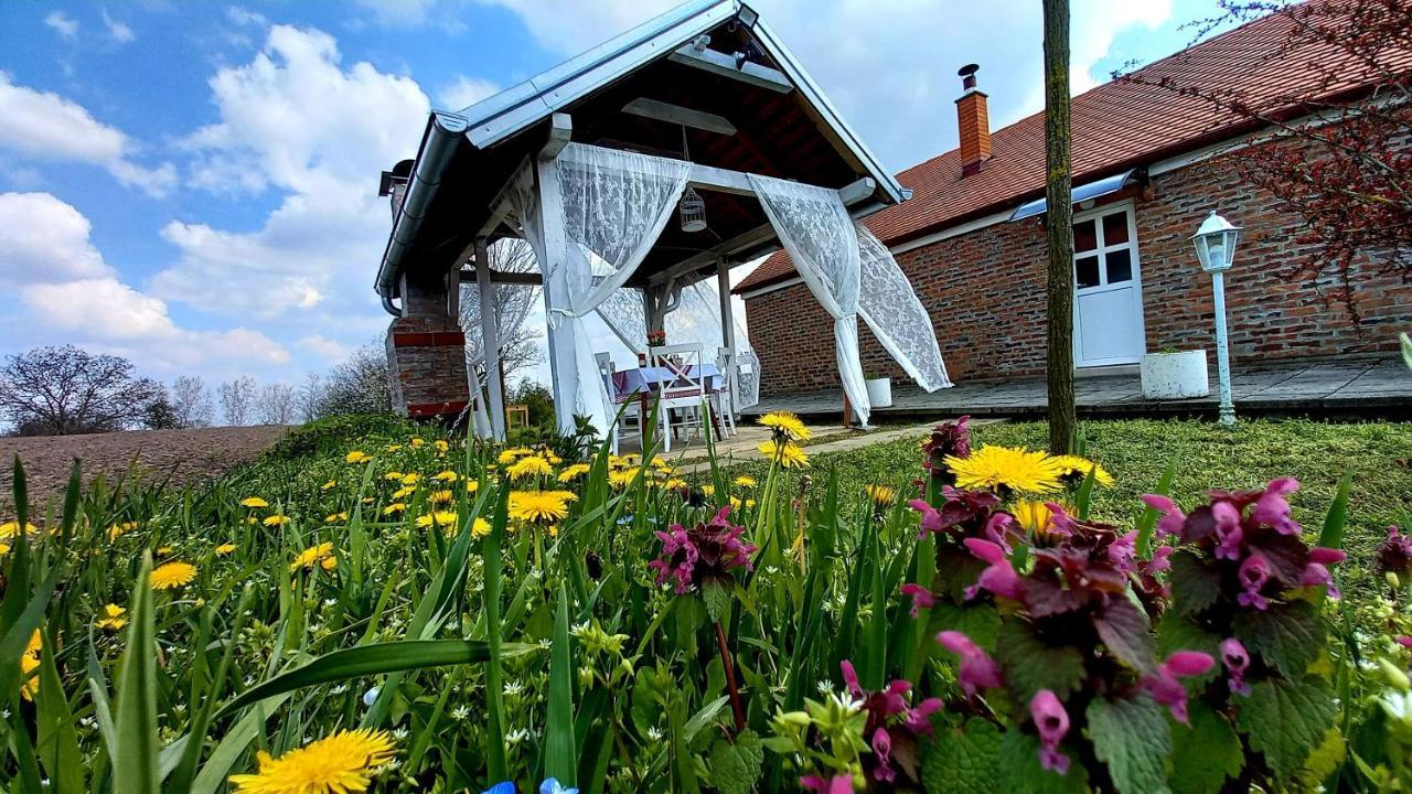 Old Village House Suza Dış mekan fotoğraf